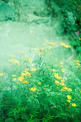 D8F876EA-C673-4134-A8C2-2D7B4B249AF8/L0/001