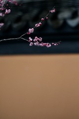 728820