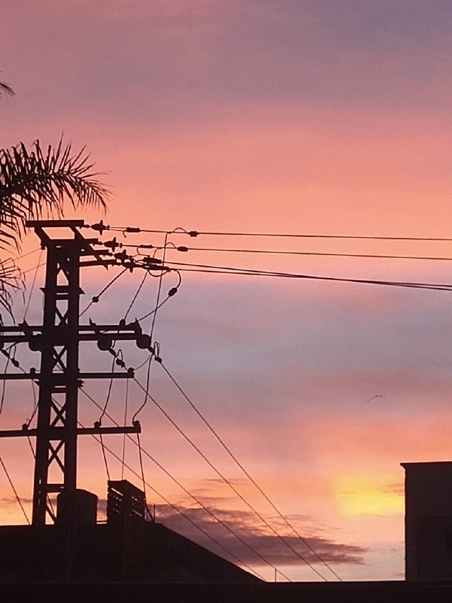 盛夏的晚风又一批少年各奔东西