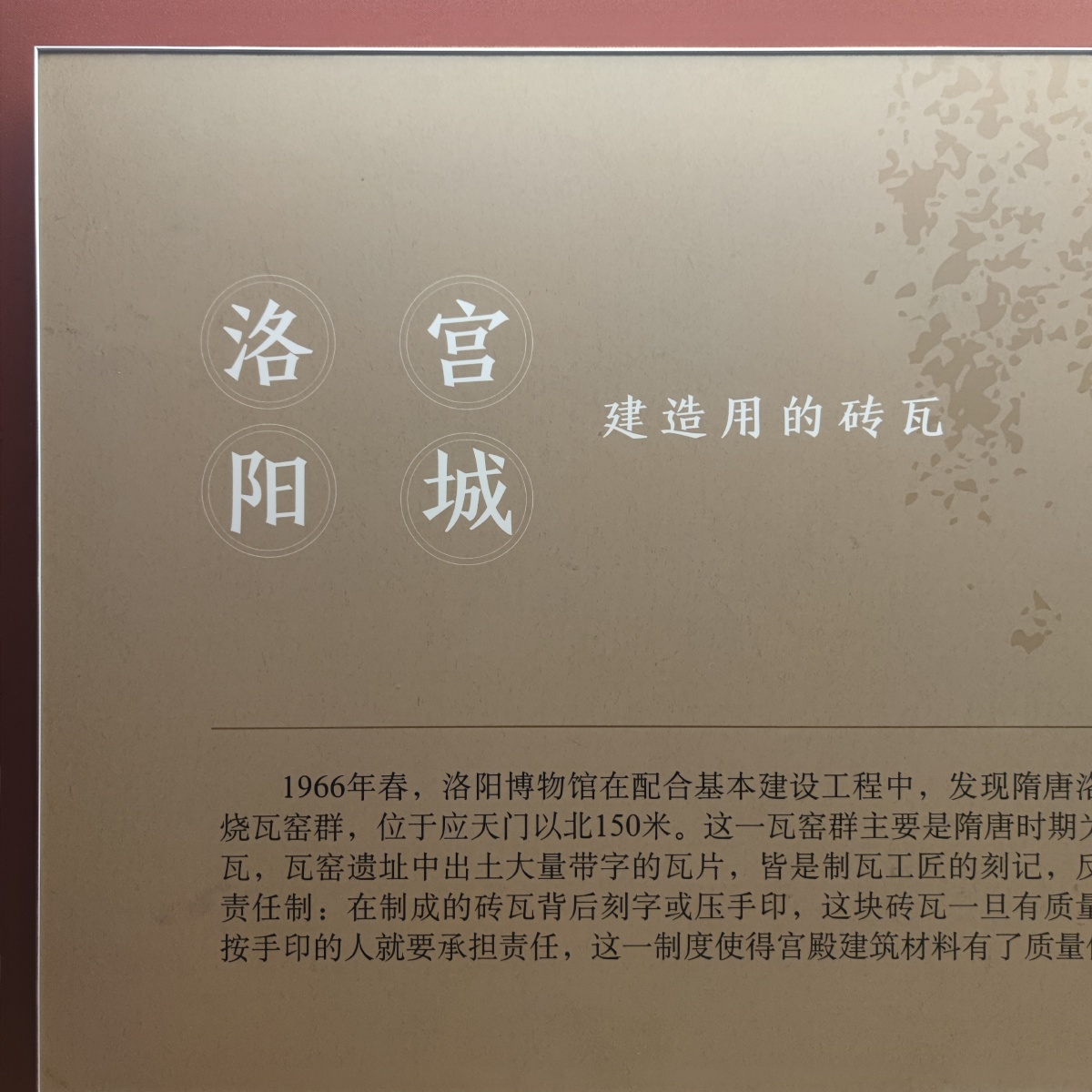 五一库存来了生活碎片好想爱这个世界啊