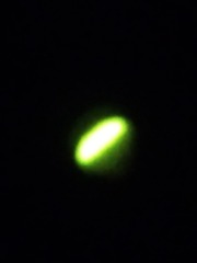 166015