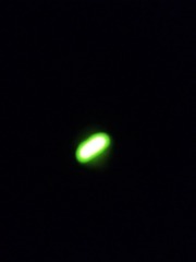 166013