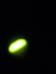 166023