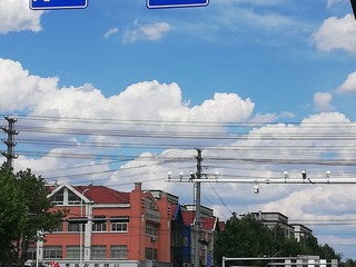 1000001233