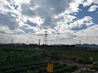 294641