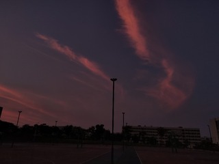 1000041712