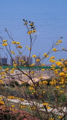 BC9C3B56-8D0D-4834-9D9B-1C2725118291/L0/001