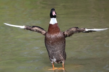 5207