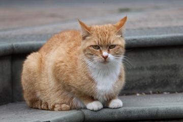 3287