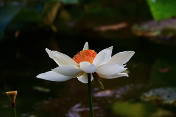 18931
