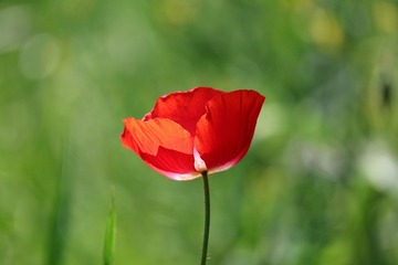 10506
