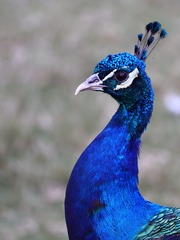 30416
