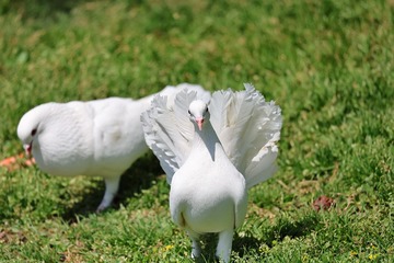 10327