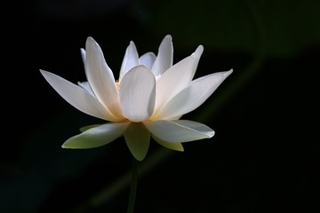 19017