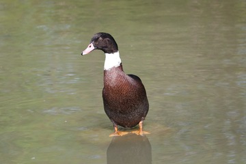 5208