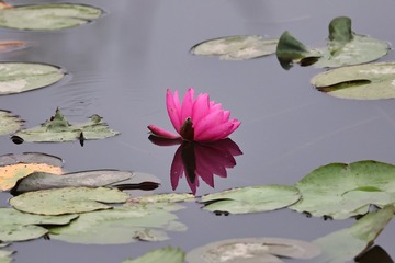 15063