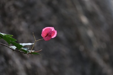 8710