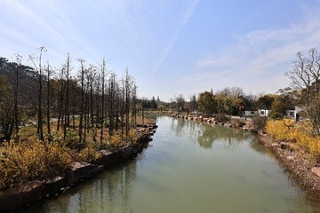 40663