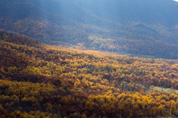 20131102-IMG_0233