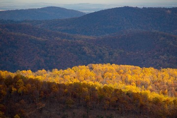 20131102-IMG_0352-2