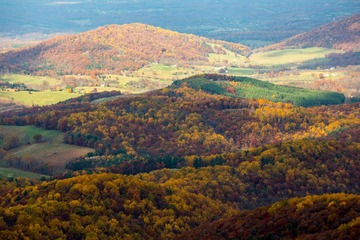 20131102-IMG_0373-2