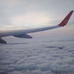 B7B86C62-6B59-4D51-9C8C-A5639AE6CDD0/L0/001