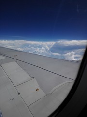 1DF82C93-4C2D-4867-B47C-9441ED667198/L0/001