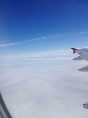 AB09B945-ECA0-42DE-A7AC-CC3C44B9F36E/L0/001