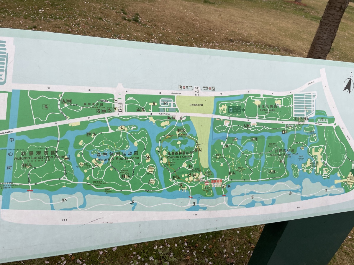 樱花上海顾村公园