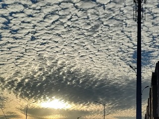 1000015404