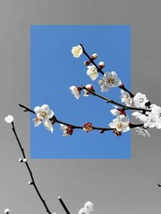 9495D06B-99F0-4940-A7DB-F673EB46B73E/L0/001