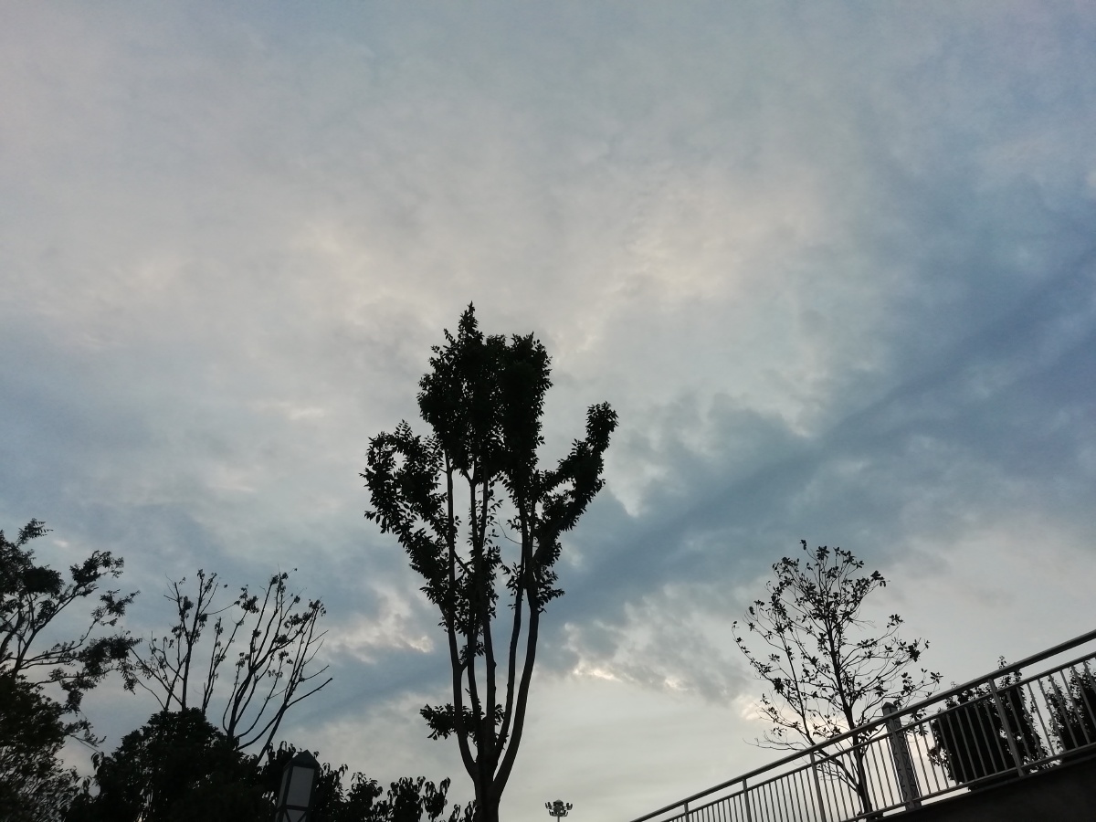 天高任鸟飞 - 154922_ - 图虫