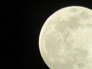 35F88E97-F0A1-42B1-9508-36FA7C7AB9F7/L0/001