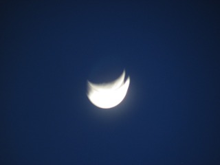 B6E18DDC-764B-4798-BDEC-C61DE128A6B4/L0/001