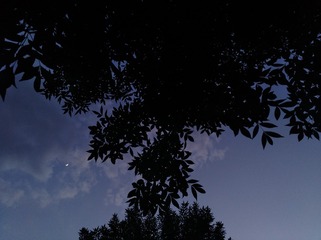 367