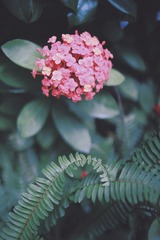 E591A98B-7DFF-4EE2-A59F-B1EAEC1D291C/L0/001