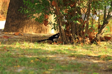 _MG_0737.JPG