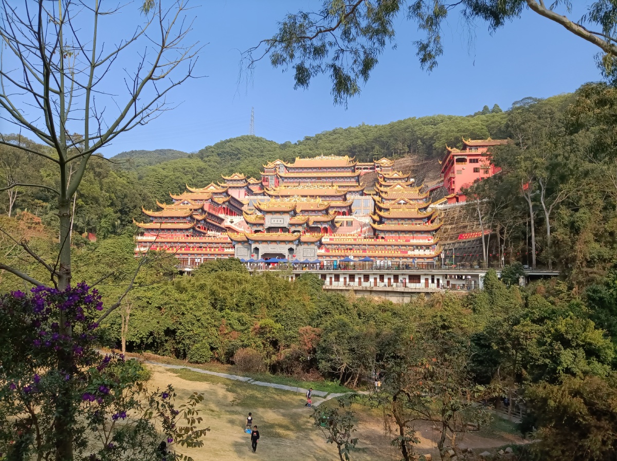 二月份的东莞大岭山森林公园
