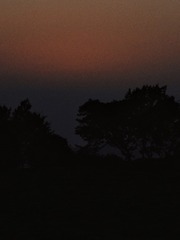 C28B1E17-85B9-49AB-B323-955C2A748617/L0/001