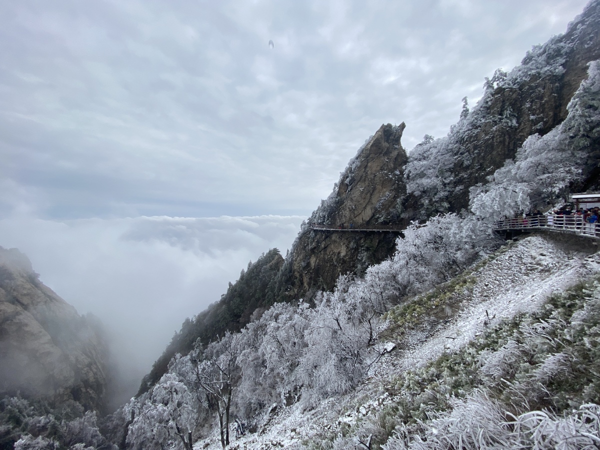 老君山雾凇随手拍景色