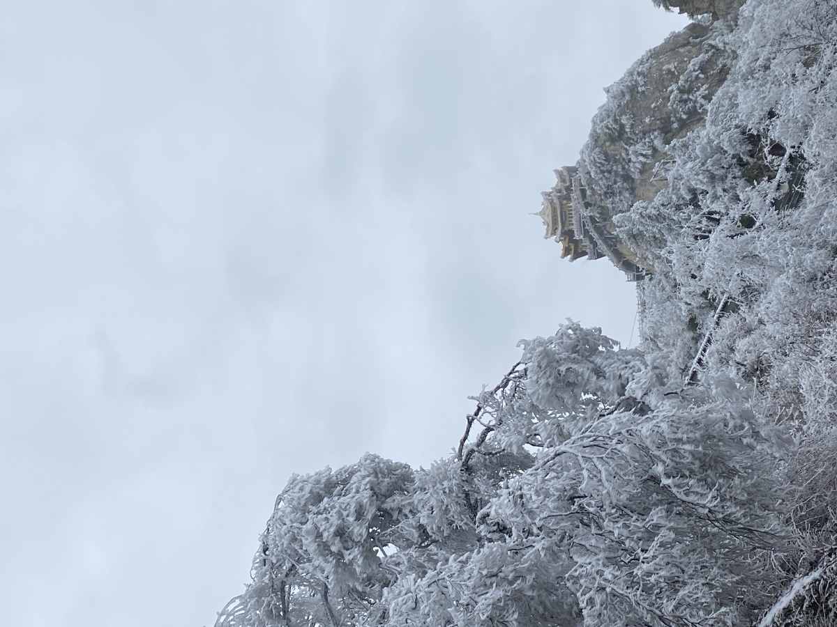 老君山雾凇随手拍景色