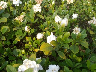 201005181345