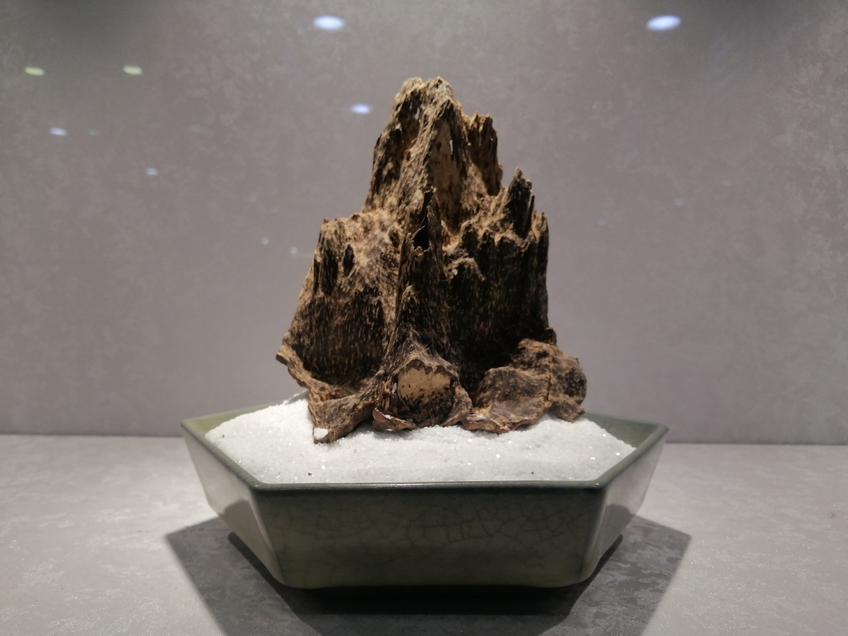 海口亿胜和古玩城的沉香