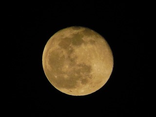 2073556