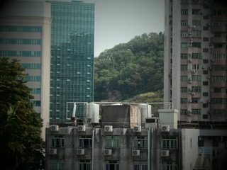 000D7F8F-A141-45CB-8F30-0077968E2E2D/L0/001