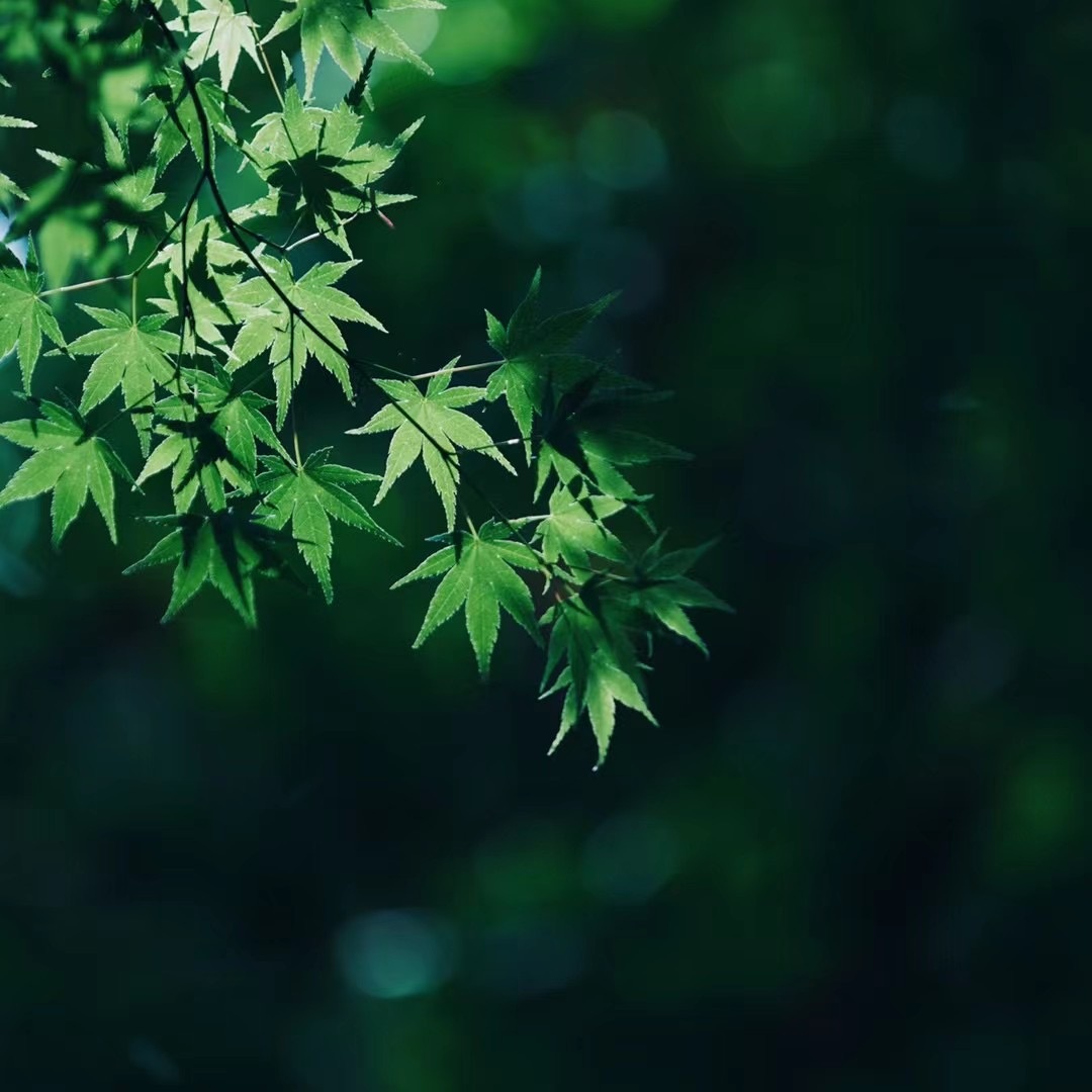 夏天的气息要来了