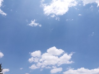 391
