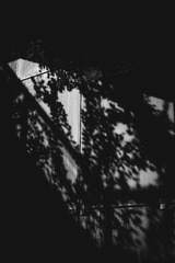 12C06F4F-46E1-4017-A4D3-7AA59188EA40/L0/001