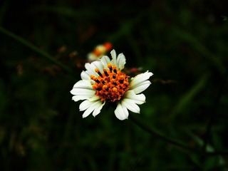 SANY0118