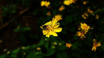 SANY0045